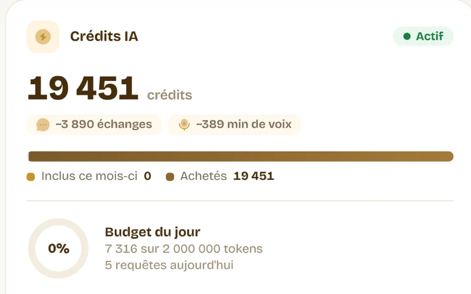 Gros plan des crédits IA : solde, échanges et minutes de voix équivalents, crédits inclus et achetés
